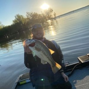 Meet your Posher, Avery